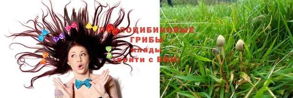 MESCALINE Краснослободск