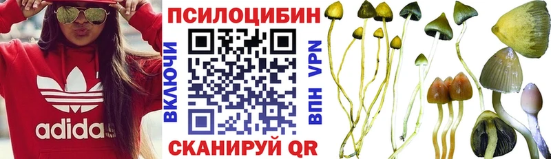 Купить закладки Ковров Псилоцибиновые грибы мицелий